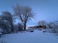 IMG 4578