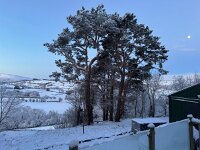 IMG 4579